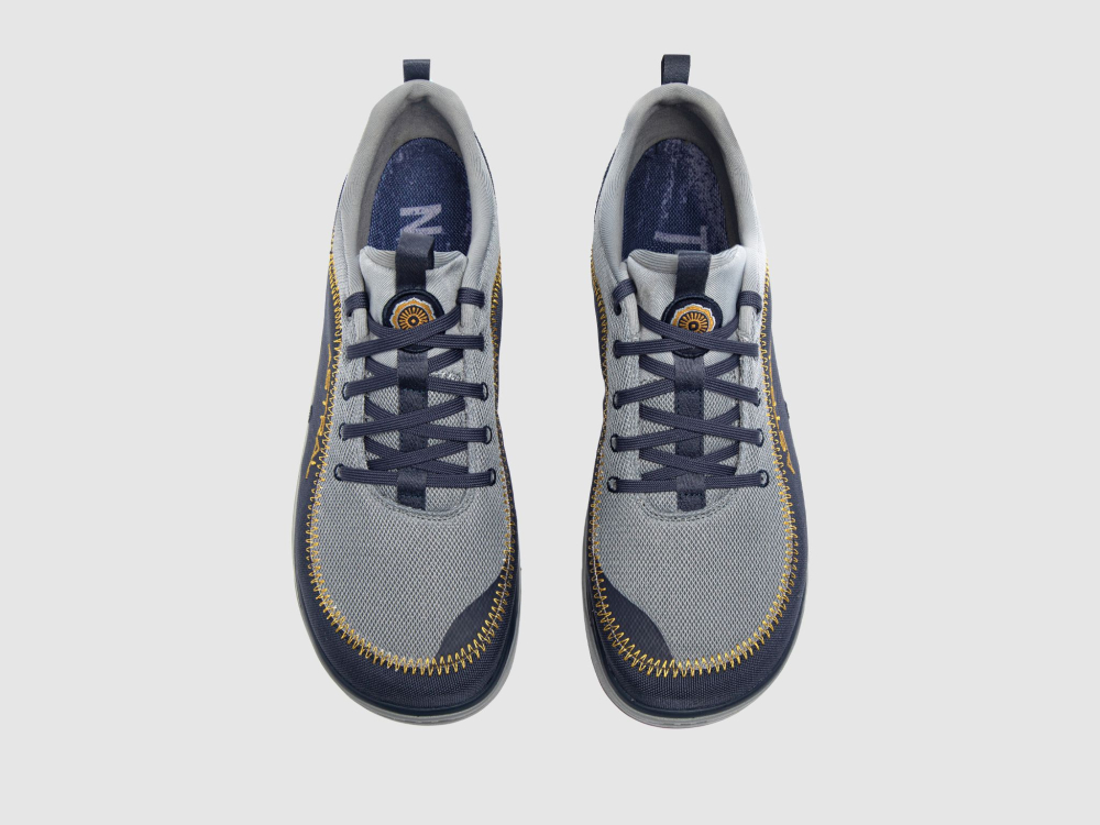 Ansicht oben 'Brewer 3.0' von Astral