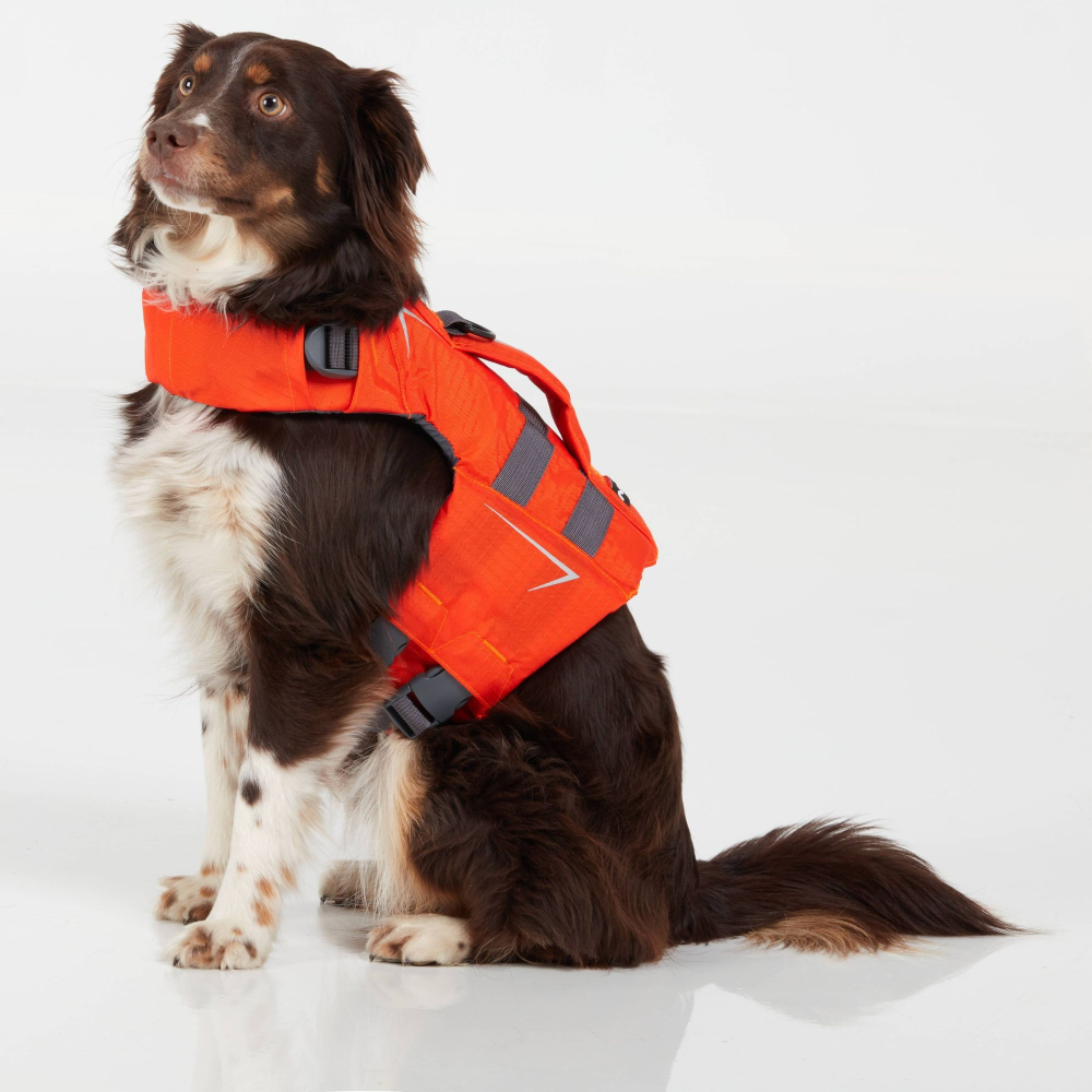 Stanley, 11kg, trägt Grösse S der 'NRS CFD Dog Life Jacket'